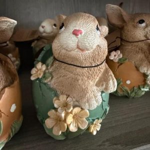 Hare i grønt egg